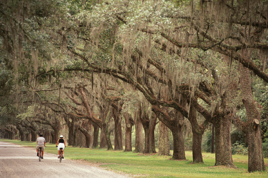 Charleston biking tour Charleston biking tour